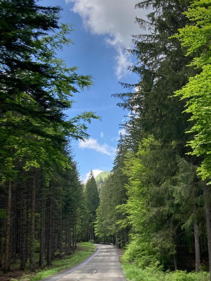 Appartamento Val Di Luce Relax Cristallo Abetone Dış mekan fotoğraf